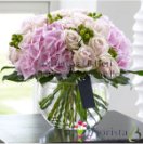 Bouquet Roses and Hydrangeas