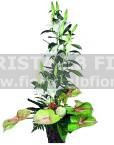 COMPOSIZIONE DECORATIVA CON LILIUM E ANTHURIUM