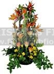 TROPIC COMPOSITION