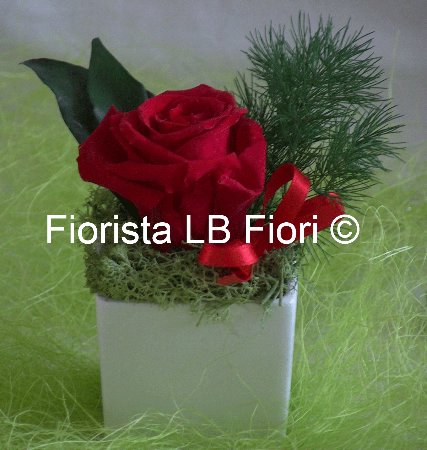 VASO IN CERMANICA E ROSA ROSSA DISIDRATATA