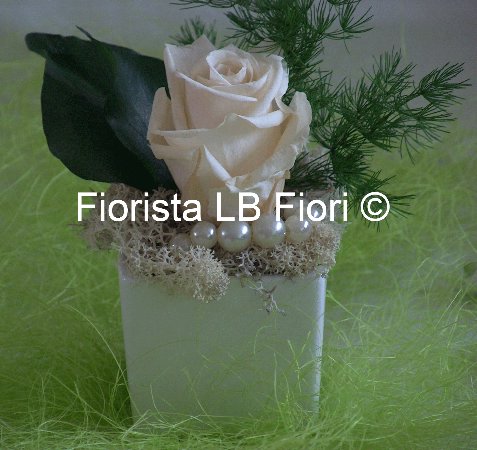 VASO IN CERMANICA E ROSA BIANCA DISIDRATATA