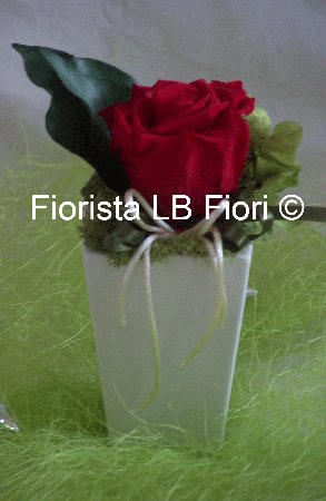 VASO IN CERMANICA E ROSA ROSSA DISIDRATATA