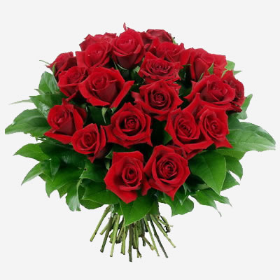 Rose Rosse a gambo medio