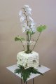 Cubo floreale con orchidee e anthurium