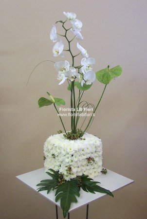 Cubo floreale con orchidee e anthurium