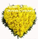 Cuore di sola mimosa - Festa della donna