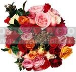 Roses colored mix medium-stemmed roses Valentine´s Day