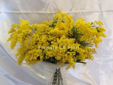 Mazzo di sola mimosa Consegna mimosa in gioranta