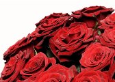 Long-stemmed red roses "super" Mother´s Day