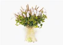 Bouquet of flowers and white tulips with spikes brings good luck for Christmas