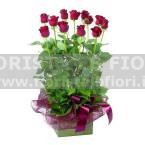 12 ROSE ROSSE A GAMBO LUNGO