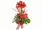AMARYLLIS BUNCH OF RED FLOWERS - DELIVERY OF FLOWERS IN ITALY AT HOME IN THE DAY
